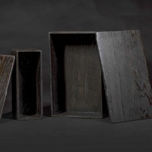 Bog oak one glass box