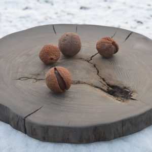 Bog oak Sushi Plate Round