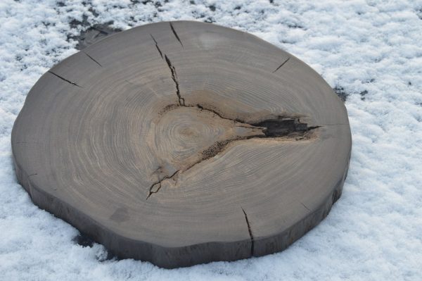 Bog oak Sushi Plate Round - Image 2