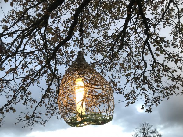 DREAM LAMPS - Image 6