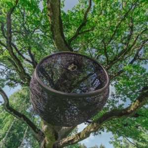 Manu Nest Swing Chair