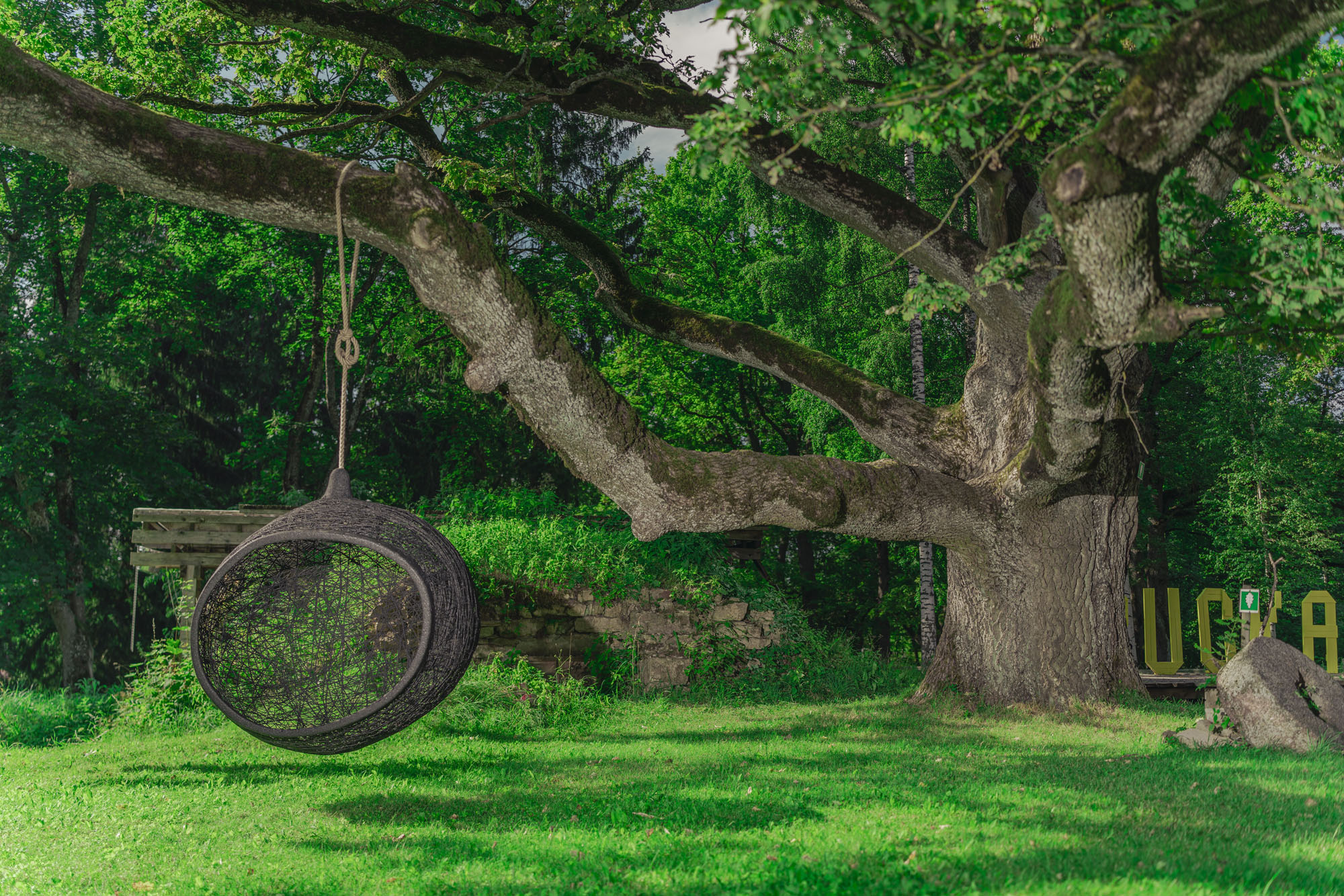 Manu Nest Swing Chair Ciirulis designer