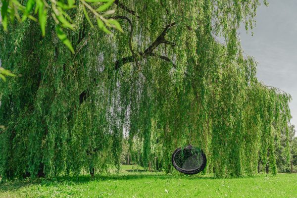 Manu Nest Swing Chair Oval - Image 6
