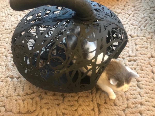 Cat nest - Image 4